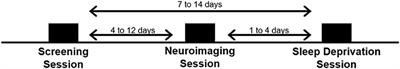 Rested-Baseline Responsivity of the Ventral Striatum Is Associated With Caloric and Macronutrient Intake During One Night of Sleep Deprivation